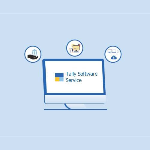 Tally Software Service TSS (Option 2)