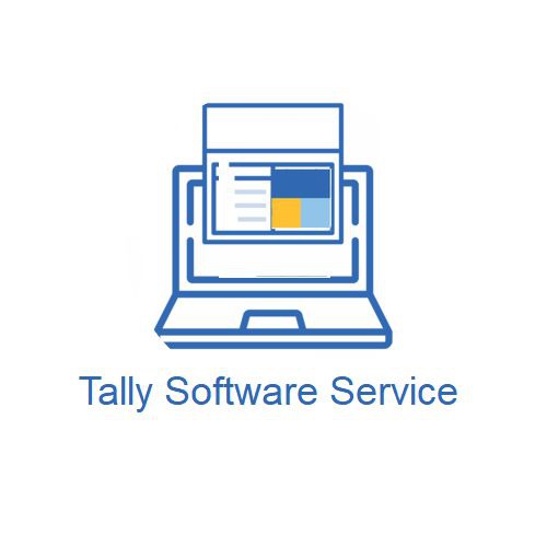 Tally Software Service TSS (Option 3)